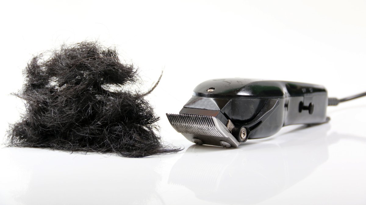 白い表面にプロ仕様の黒いヘアクリッパーを使い、黒髪をトリミングした — 精密なカットにおすすめのプレミアム理髪クリッパー。